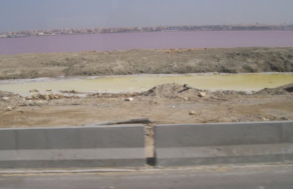 polluted water