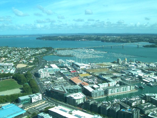 Auckland harbour