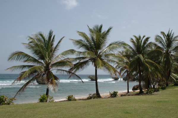 picture of Barbados coastline
