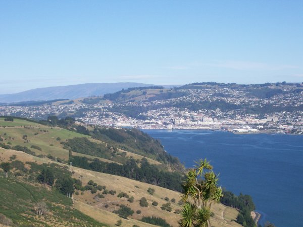 Dunedin