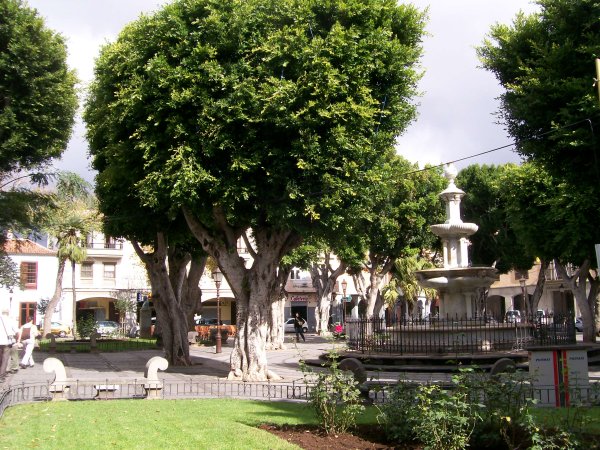 picture of La Laguna