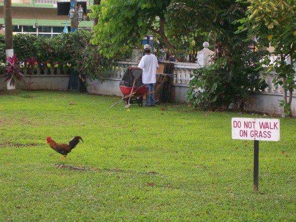 park in Castries
