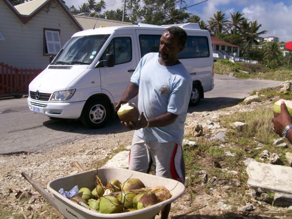 cutting a coconut