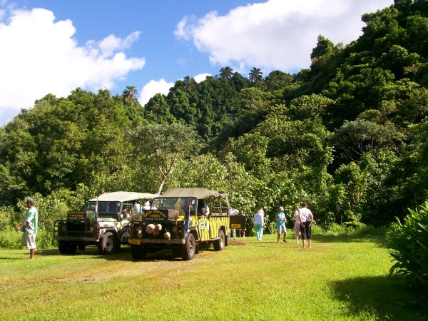 landrover trail