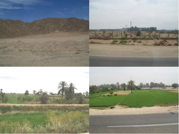 arid and green