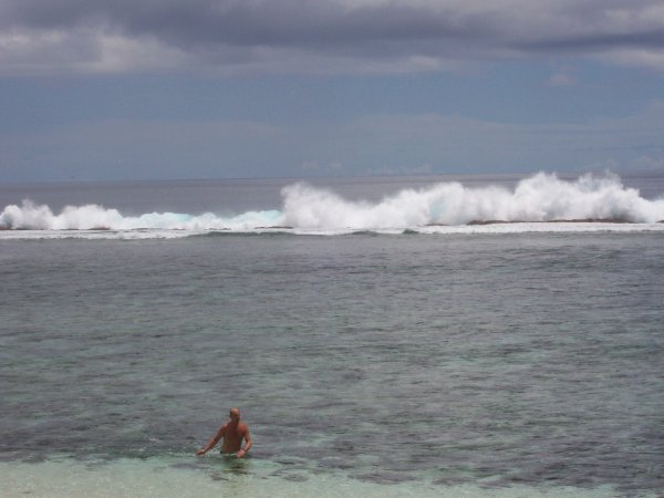 coral reef