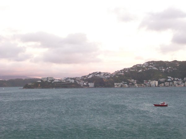 Wellington